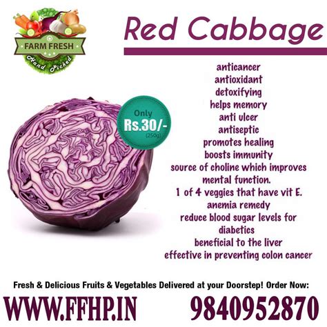 Health Benefits of Red Cabbage! Cabbage Health Benefits, Fruit Benefits ...