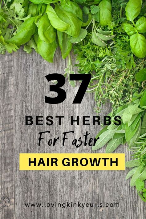 The Best Herbs For Natural Hair | Herbs for hair growth, Herbs for hair ...