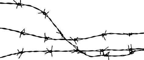 Free Transparent Barbed Wire, Download Free Transparent Barbed Wire png ...