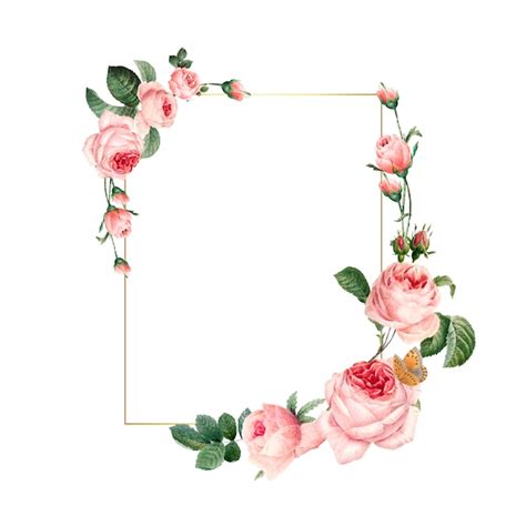 Rose Frame Vectors & Illustrations for Free Download