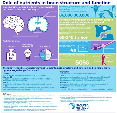 Role of nutrients in brain structure and function | Danone Research ...