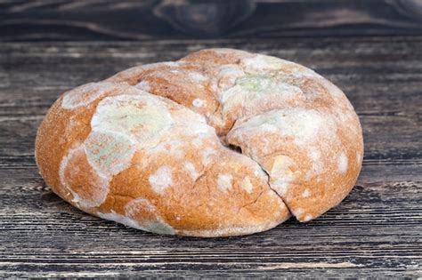 Premium Photo | Loaf of bread which, due to moisture, was covered with ...