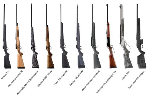 10 Best Rifles for Elk Hunting | Sportsman's Warehouse