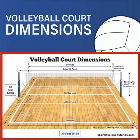 Volleyball Court Dimensions and Net Height For All Levels of Play