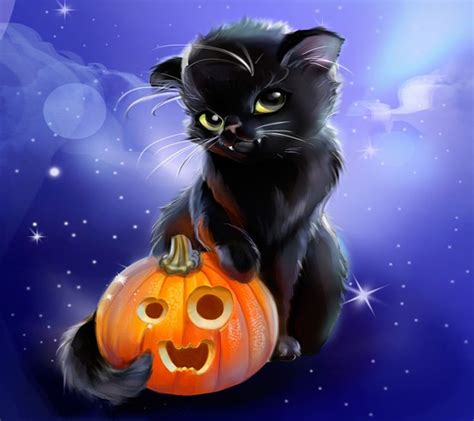 Halloween cats for all! - Imgur | Halloween funny, Halloween cat, Black ...