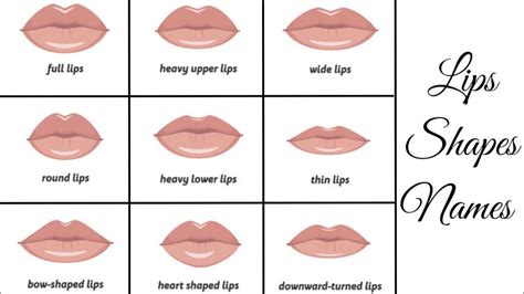 Cupid Bow Lips Exercise | Lipstutorial.org