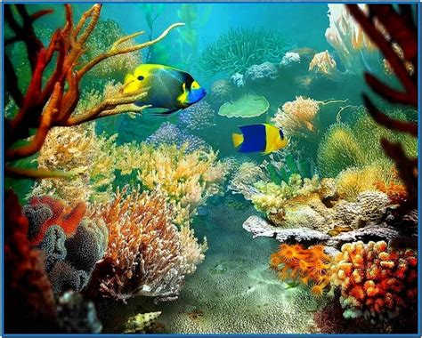 3d tropical fish aquarium iii screensaver - Download free