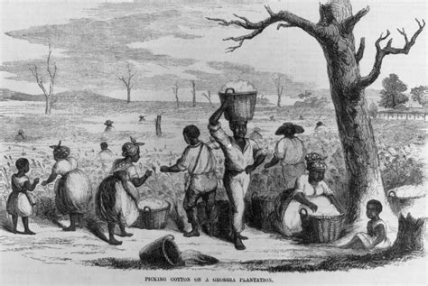 Background Information About the British Slave Trade - The British ...