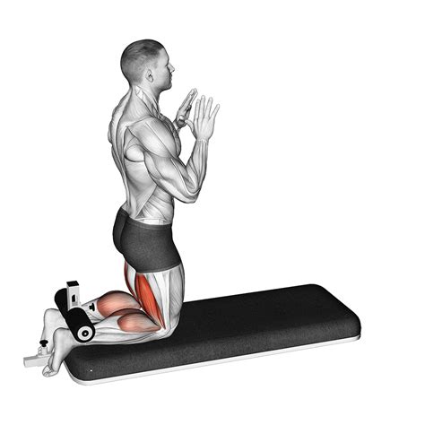 Hamstring Curl Without Machine