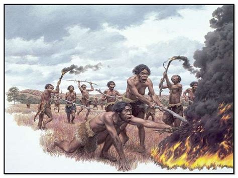 Homo erectus Learning to Utilize Natural Fire - Jay Matternes | Ancient ...