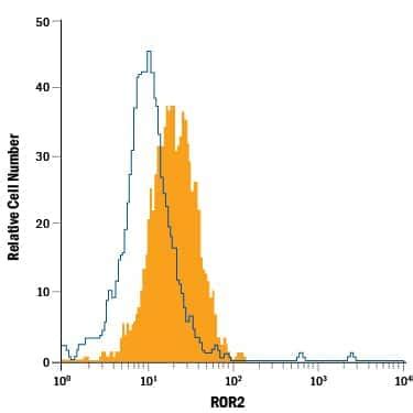 ROR2 Antibody (231509) [Phycoerythrin] (FAB20641P): Novus Biologicals