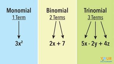 Learn about Monomial Calculator - Education Is Around