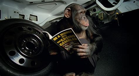 Car-Vid Classics: Trunk Monkey - Driven Car Guide