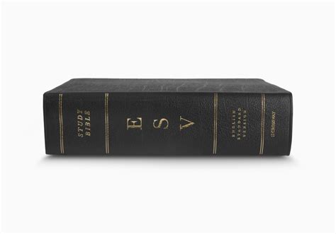 ESV Study Bible, Large Print, Genuine Leather, 9781433544316 | Eden.co.uk