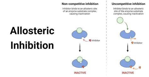 Allosteric Inhibition: Mechanism, Cooperativity, Examples