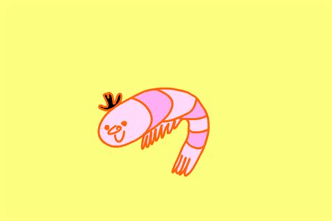 Happy Shrimp GIFs - Get the best GIF on GIPHY