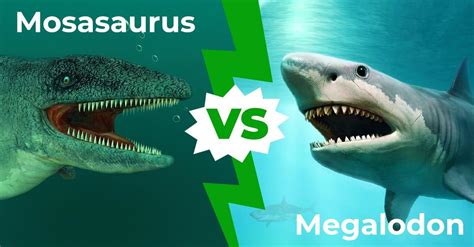 Mosasaurus vs Megalodon: Who Would Win In A Fight? - A-Z Animals