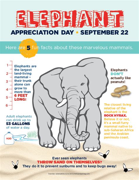 5 Fun Facts About Elephants for Elephant Appreciation Day | La Petite ...