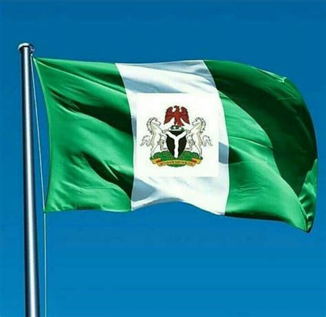 Embassy denies claim of 1.5m Nigerians in need of passports – Newswire ...