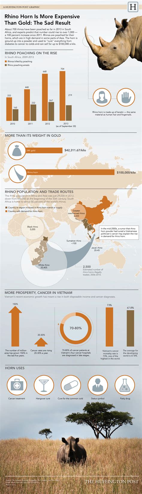 18 Compelling Rhino Poaching Statistics - BrandonGaille.com