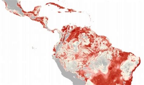 Maps predict areas favorable for Zika spread | CIDRAP