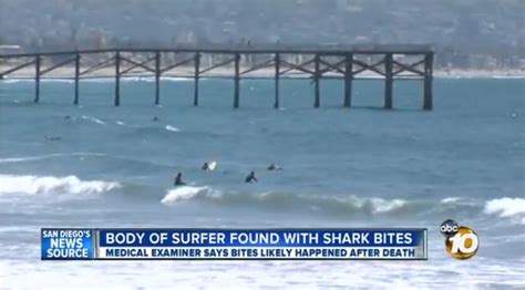 UPDATE: Dead naked surfer with apparent shark attack wounds washes up ...