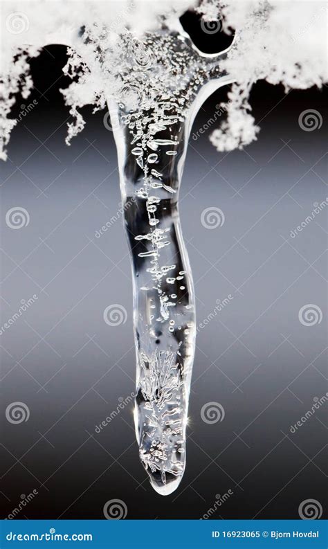 Ice drop stock image. Image of cold, frost, snow, frozen - 16923065