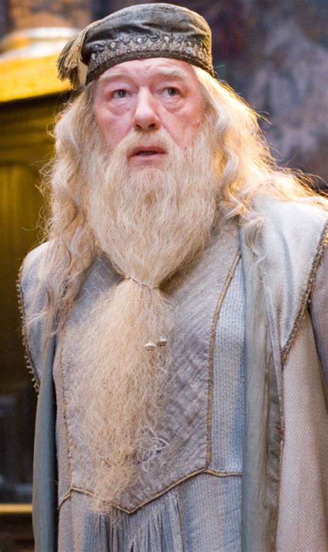 michael gambon harry potter dumbledore in 2024 | Harry potter films ...