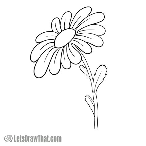 Daisy Flower Outline