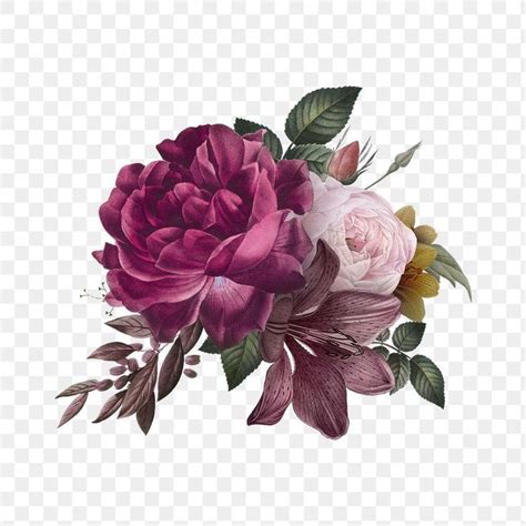 Download premium png of Beautiful hand drawn pink roses transparent ...