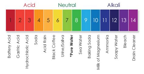 Ph Scale For Red Cabbage Indicator