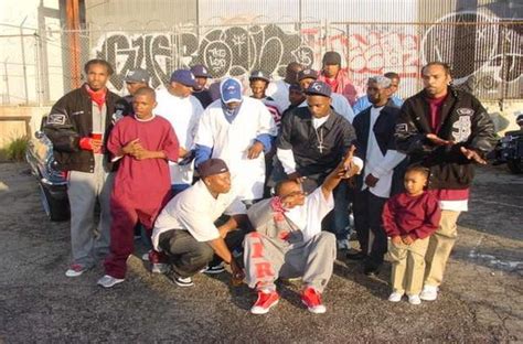 Compton Gangs - ma