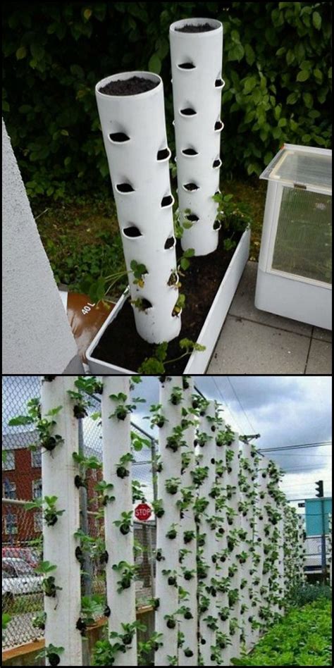 Compact DIY PVC Pipe Vertical Planter in 6 Easy Steps | Strawberry ...