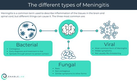 Meningitis - LulaSoleil