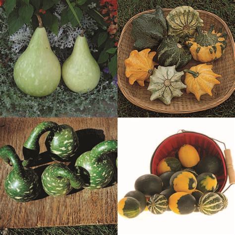 Figurines & Knick Knacks Butterfly Garden Gourd Miniature Art ...