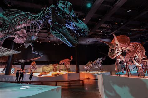 Expert’s Guide: Houston Museum of Natural Science | Houstonia Magazine