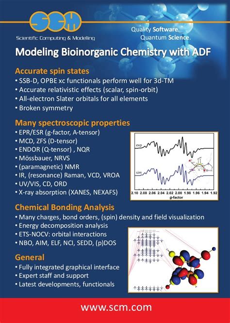 Bioinorganic chemistry modeling with ADF