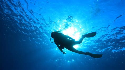 The New Age of Losing Weight: Scuba Diving - Journalyst