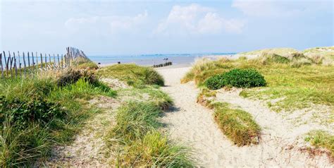 Page 3 of 3 for 60+ campsites near West Wittering Beach, West Sussex