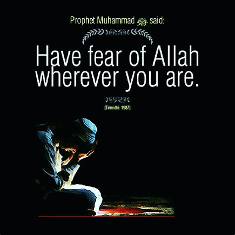 Fear Allah.. | Allah is watching you, Islamic knowledge, Islamic quotes