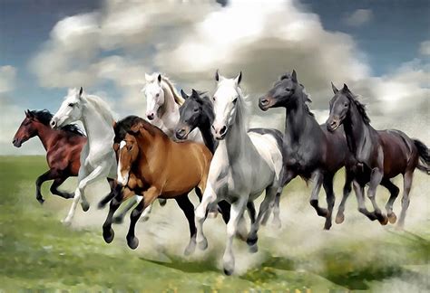 a group of horses running across a lush green field