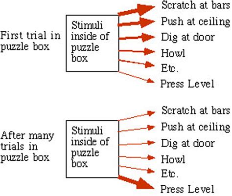 Operant Conditioning The Law Of Effect - Integrated MCAT Course