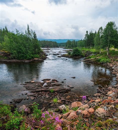 Namsen River in Trondelag County, Norway Stock Image - Image of flow ...