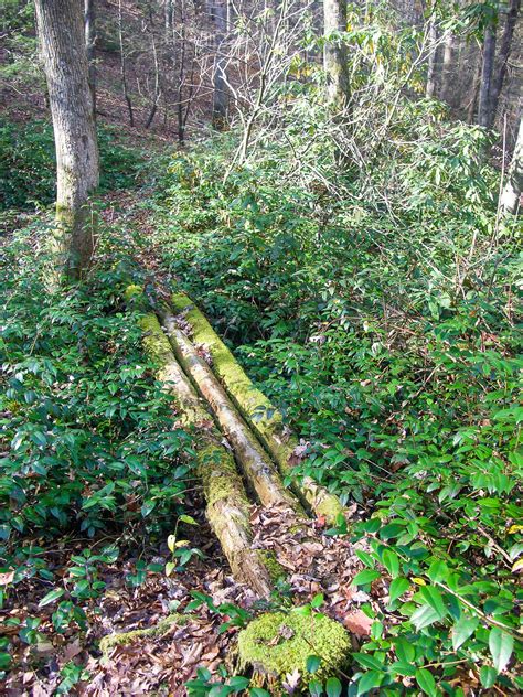 Sketchy Old Log Bridge on the Wagon Road Gap Trail – WNCOutdoors.info