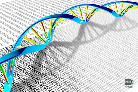 Landmark Study: Sequencing of 64 Full Human Genomes to Better Capture ...