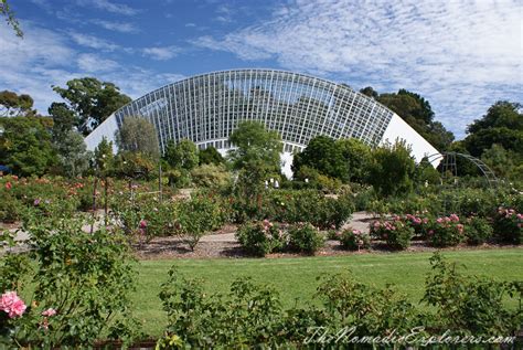 Adelaide Botanic Garden | The Nomadic Explorers | Australian Travel Blog