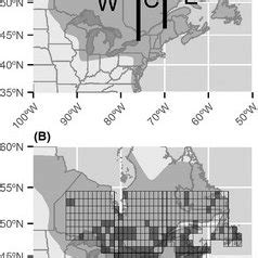 A) Black duck breeding distribution according to Nature Serve (dark ...