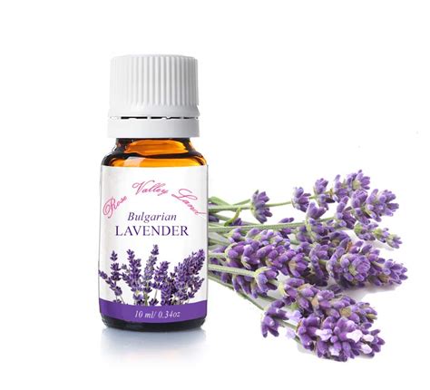 Lavender Essential Oil - 100% pure therapeutic grade – Rose Valley Land