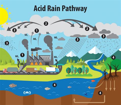 How air pollution causes acid rain - Breeze Technologies