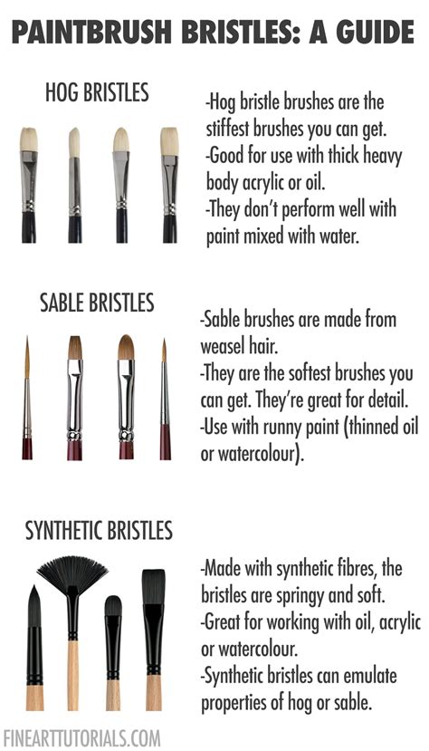 Paintbrush types: Paintbrush bristle fibres in 2021 | Art tools drawing ...